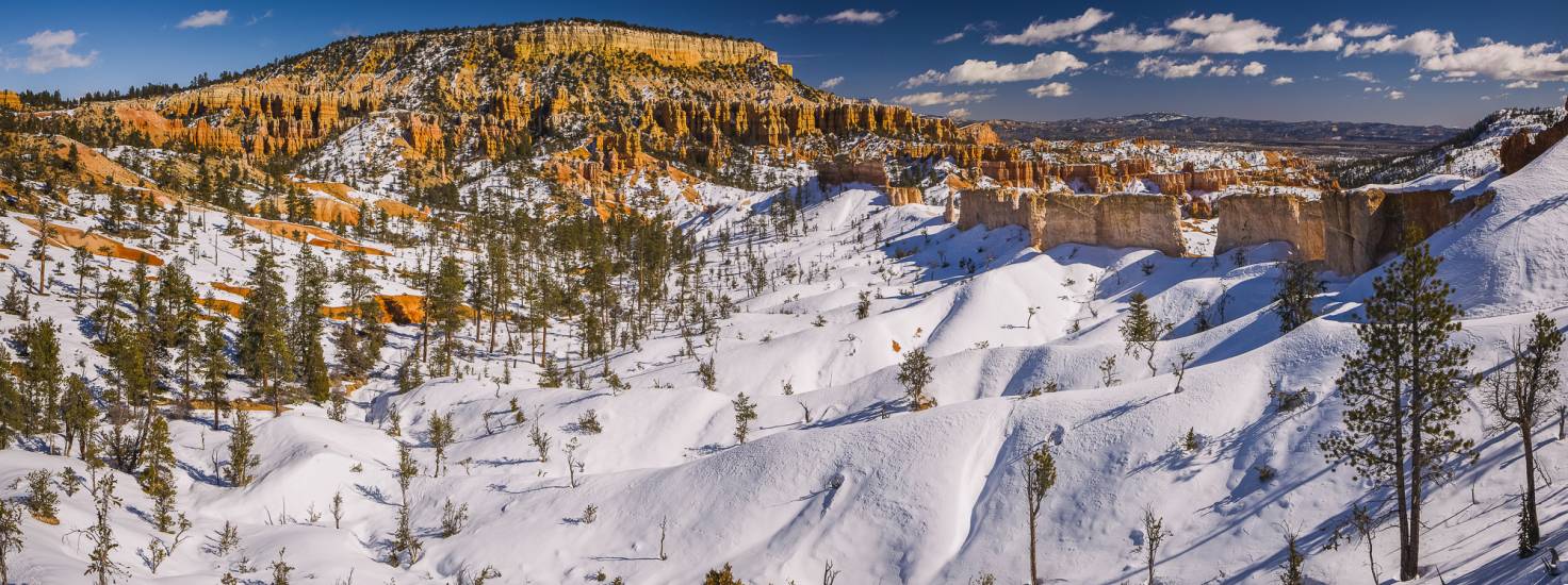 Photo - USA - Bryce Canyon #31